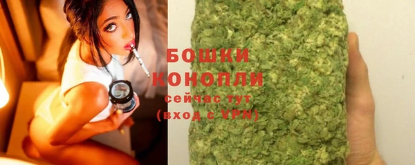 шишки Иннополис