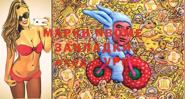 шишки Иннополис