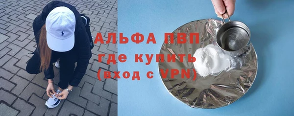 гашик Инта