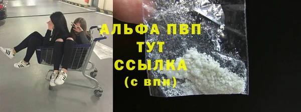 шишки Иннополис