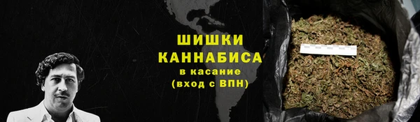 a pvp Инсар