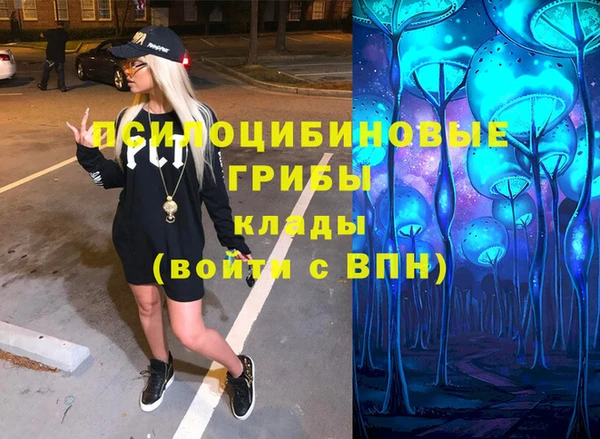 гашик Инта