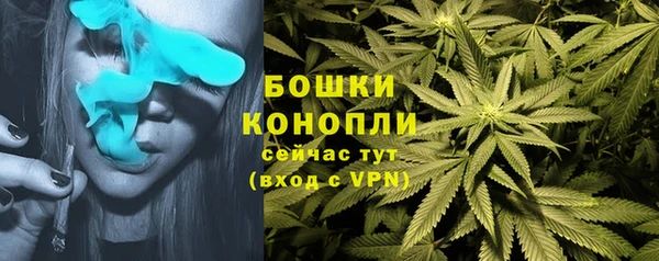 шишки Иннополис