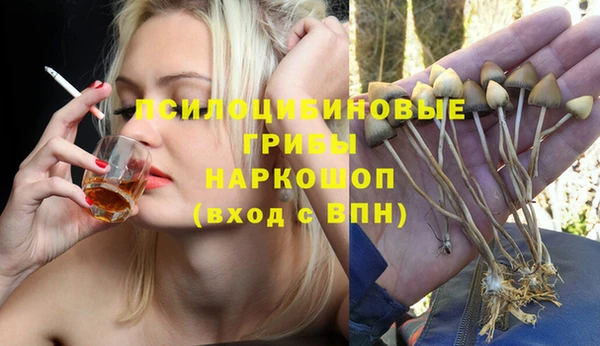 гашик Инта