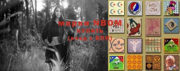гашик Инта