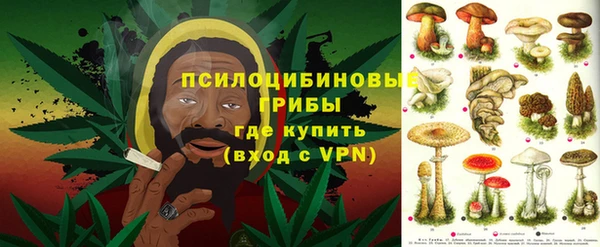 гашик Инта