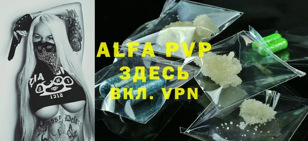 гашик Инта