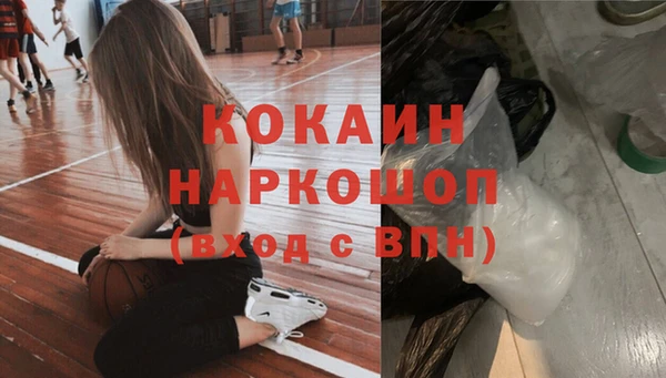 гашик Инта
