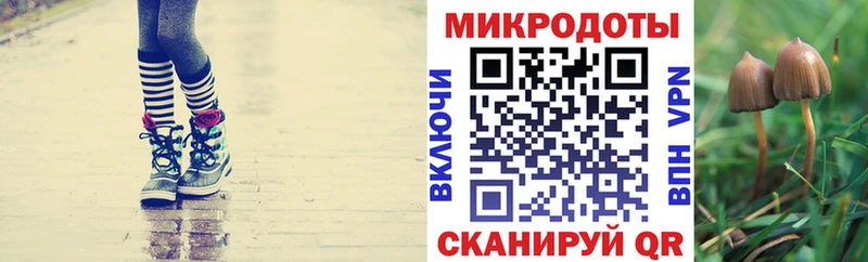 Галлюциногенные грибы прущие грибы  Слободской 